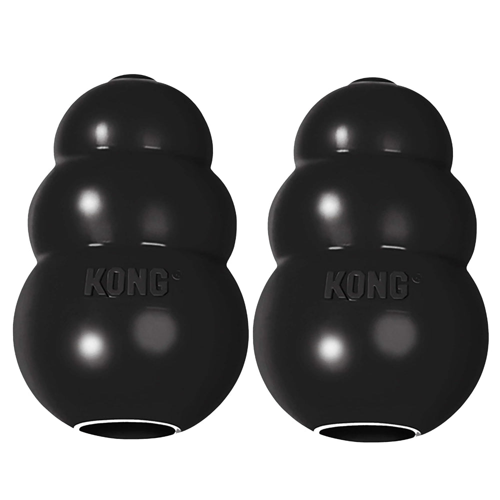 KONG Extreme dog toy pair shown from the front.