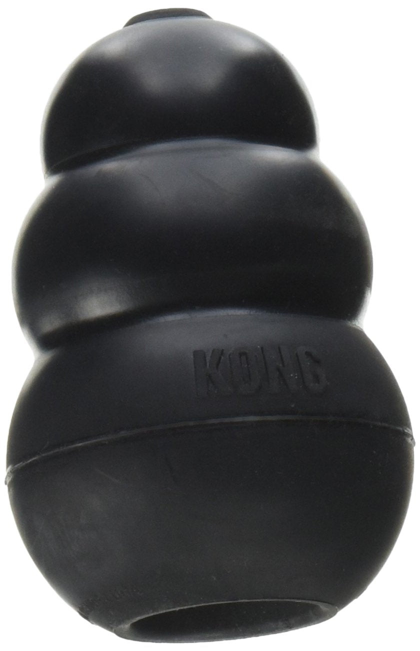 KONG Extreme dog toy pair shown from the front.