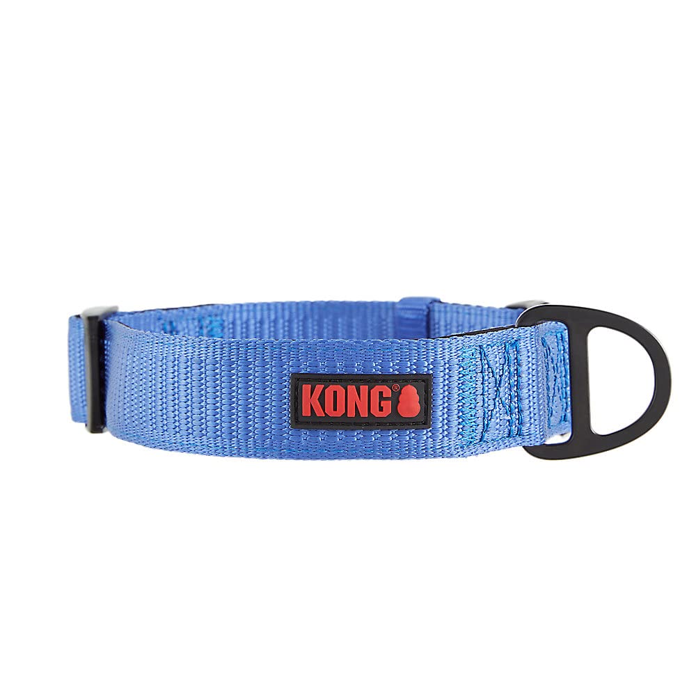 KONG Max HD dog collar shown from the front in blue.