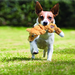 KONG Scrunch Knots plush dog toy with a close-up view of its internal rope construction.