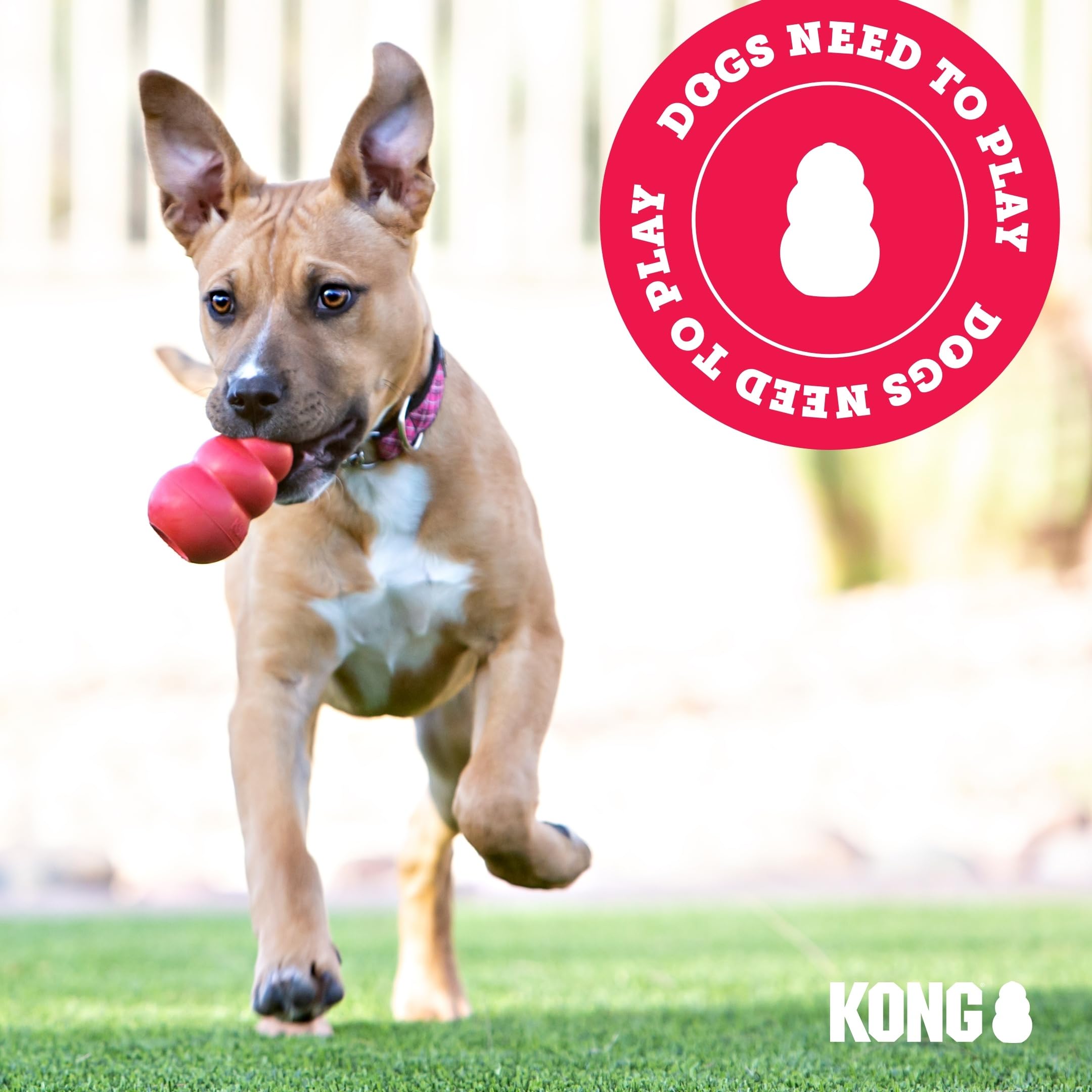 KONG Scrunch Knots Squirrel toy shown during a shaking play session.
