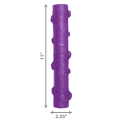 KONG Squeezz Crackle Stick shown during a toss-and-retrieve game.