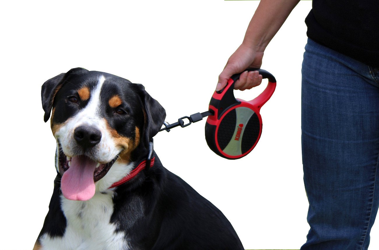 KONG Alcott Terrain retractable dog leash with its safety directions pamphlet.