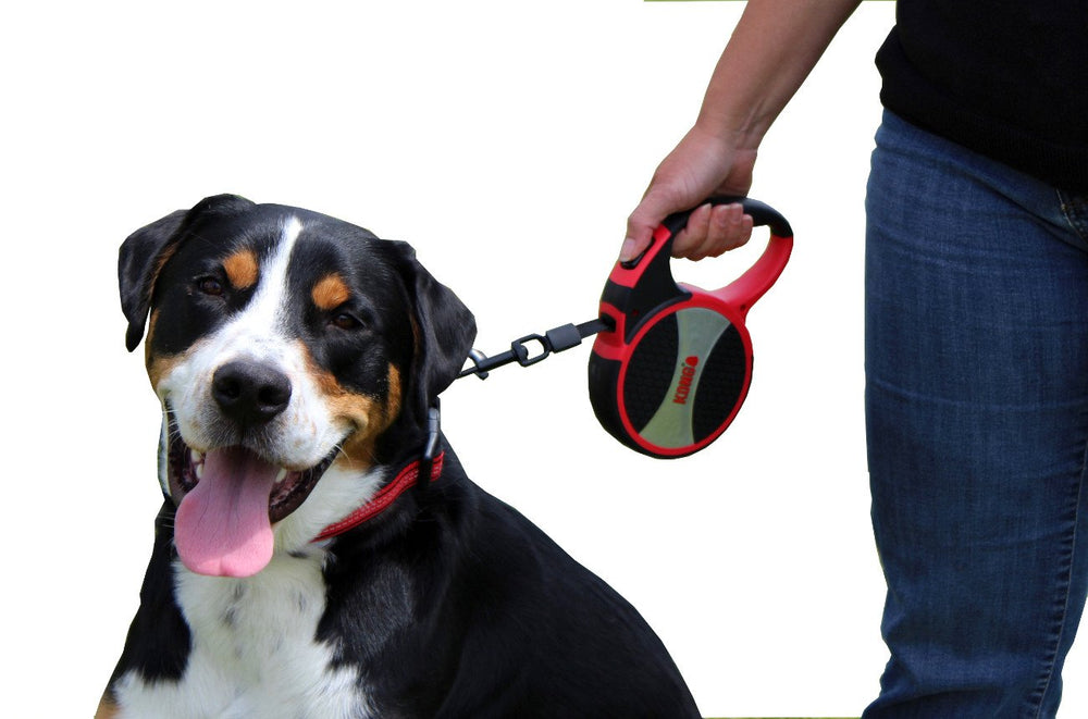 KONG Terrain retractable dog leash shown in use on a walking trail.