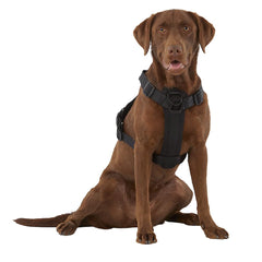 KONG waste bag harness showing its adjustable points.