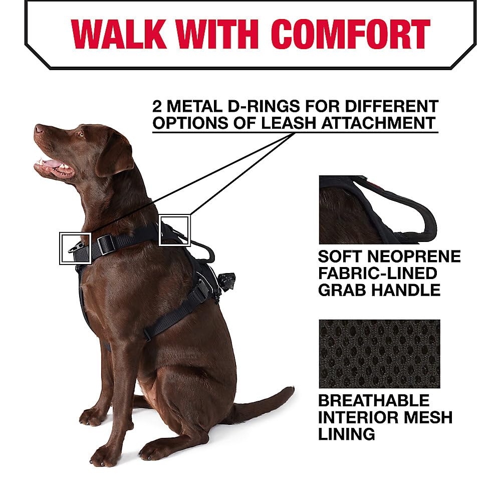 KONG waste bag harness with its collapsible control handle.