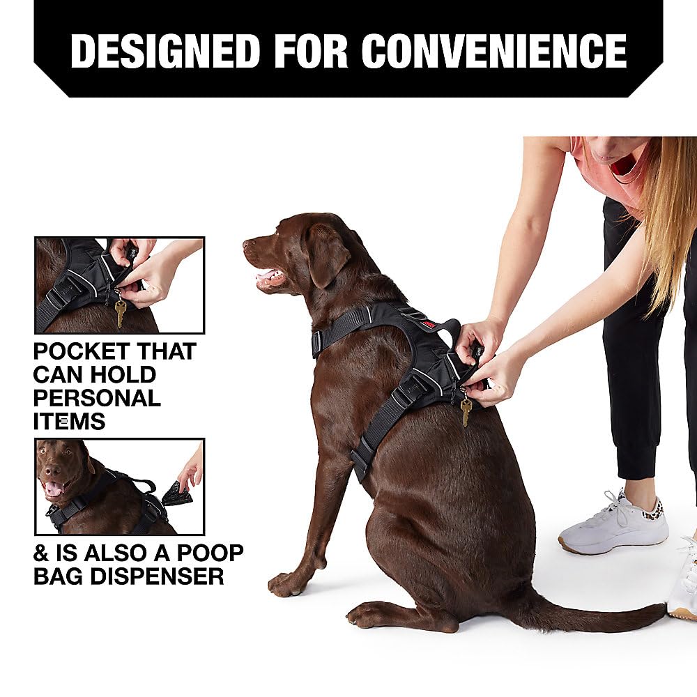 KONG waste bag harness showing the front and back leash rings.