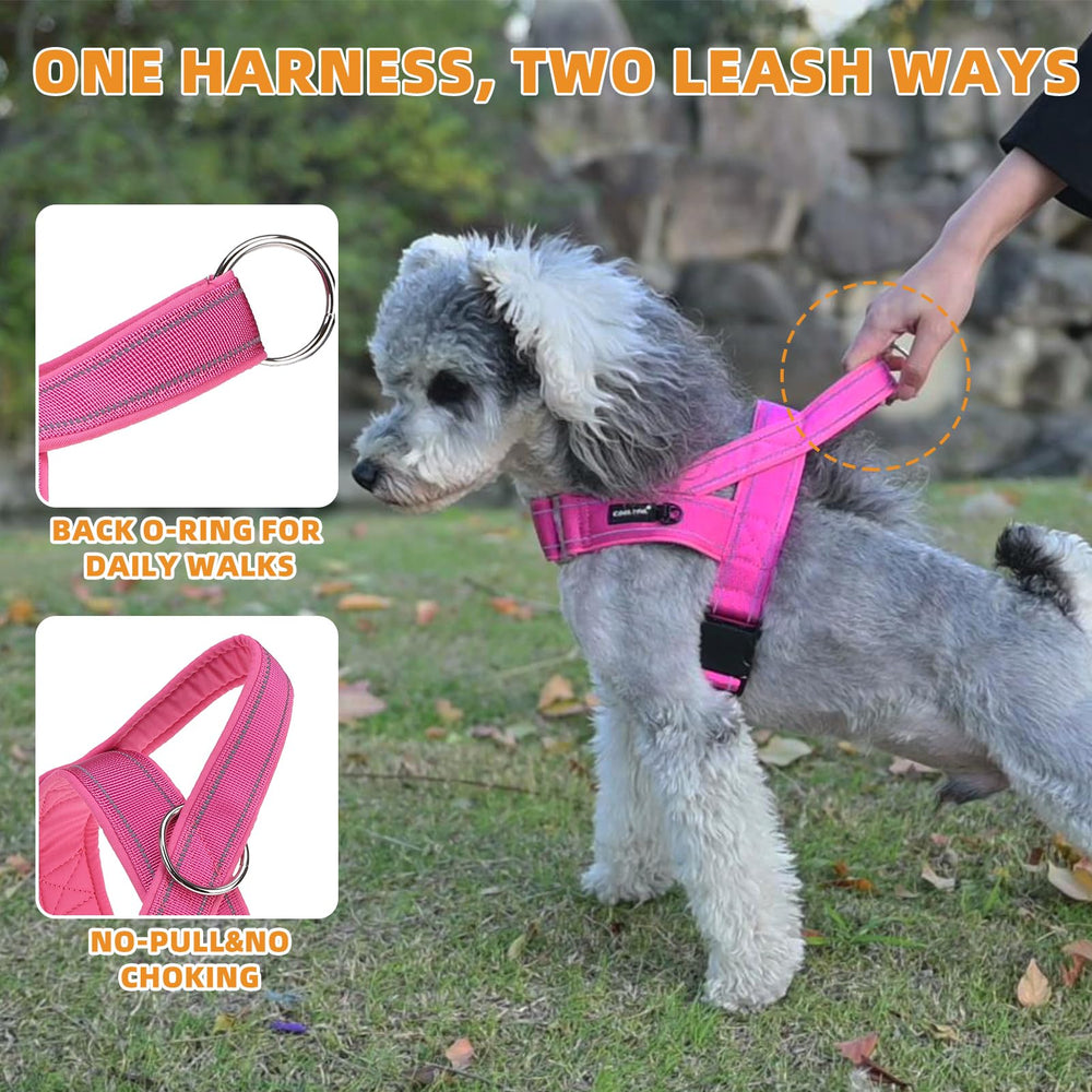 KOOLTAIL dog harness small hook for a bell or ID tag.