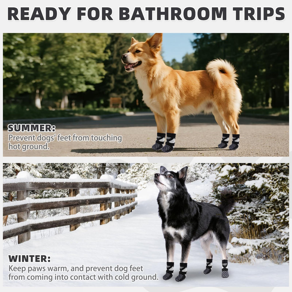 KOOLTAIL dog socks worn on a dog's paws.