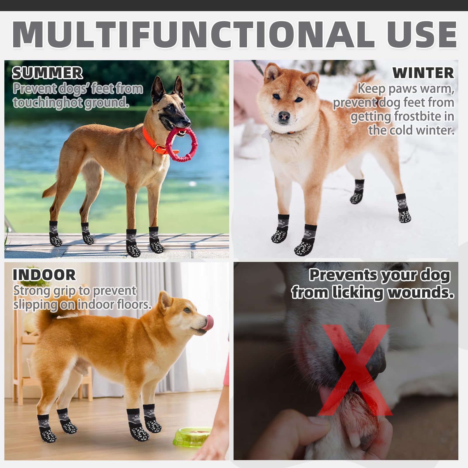 KOOLTAIL dog socks shown protecting a dog's paws during an outdoor walk.