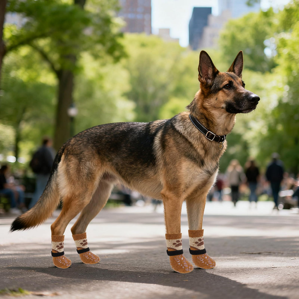 KOOLTAIL dog socks worn during an outdoor walk on pavement.