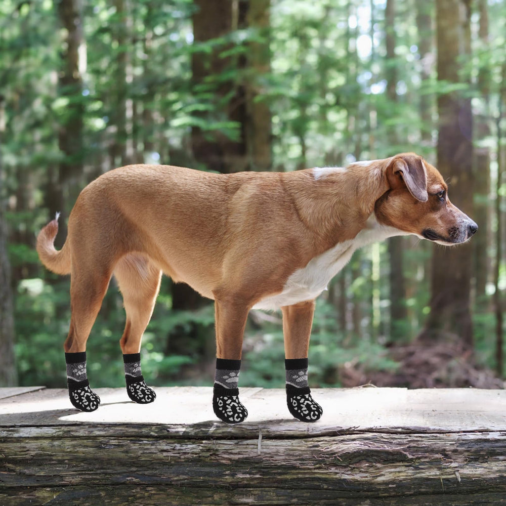 KOOLTAIL dog socks size guide highlighting the large-fit measurements.