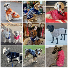 KOOLTAIL dog sweater close-up showing its cable-knit texture.