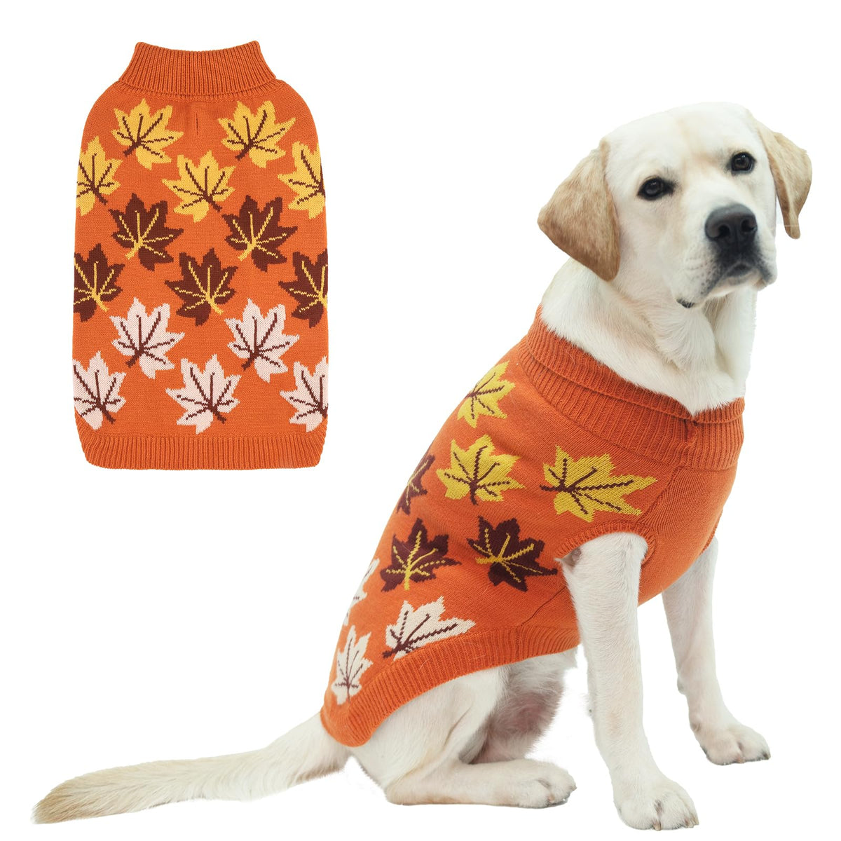 KOOLTAIL dog sweater shown from the front in orange with an autumn maple-leaf pattern.