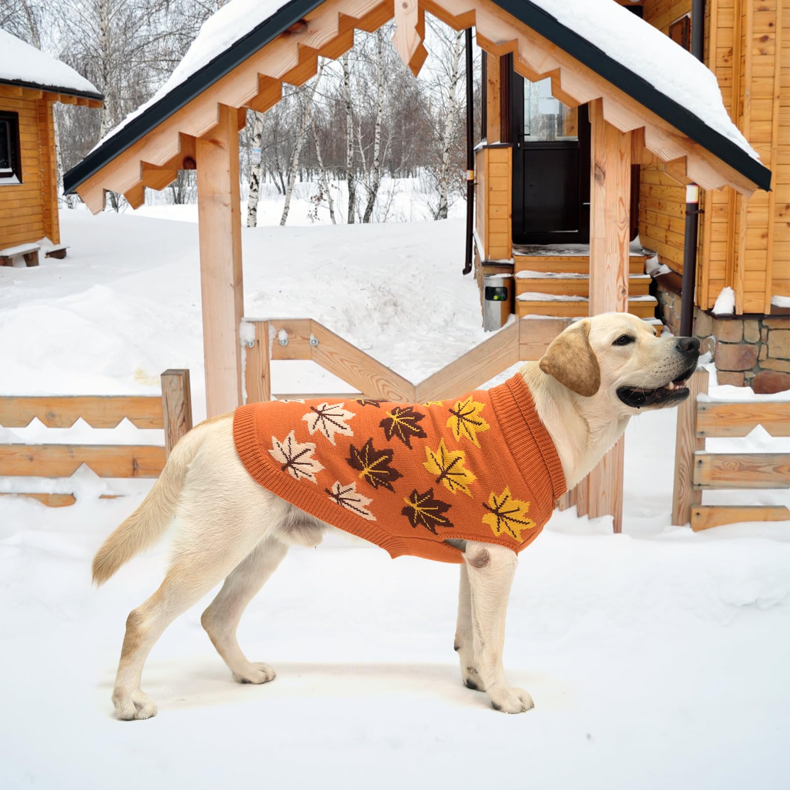 KOOLTAIL dog sweater close-up showing its high collar.