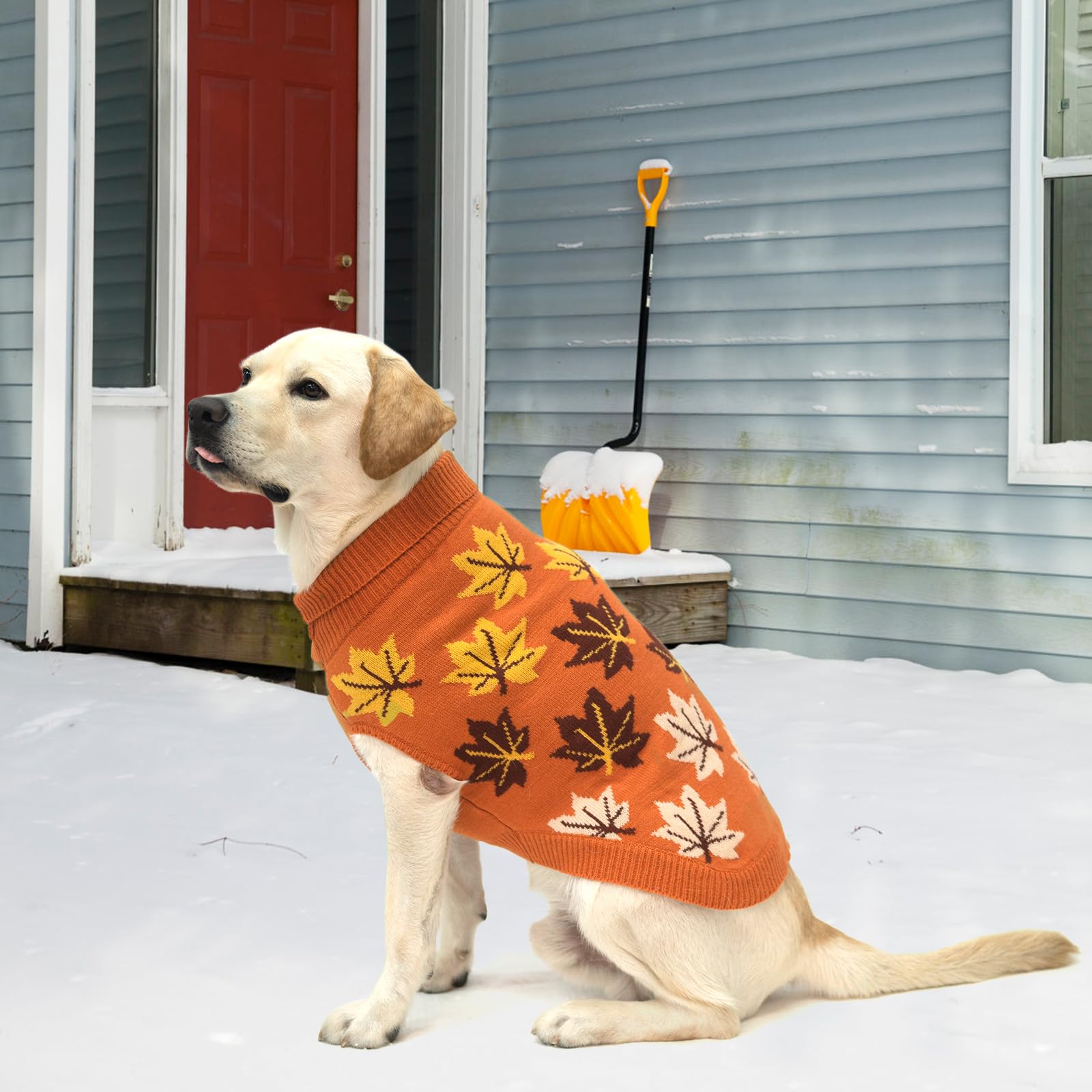 KOOLTAIL dog sweater shown with its pullover shape and higher-cut belly.