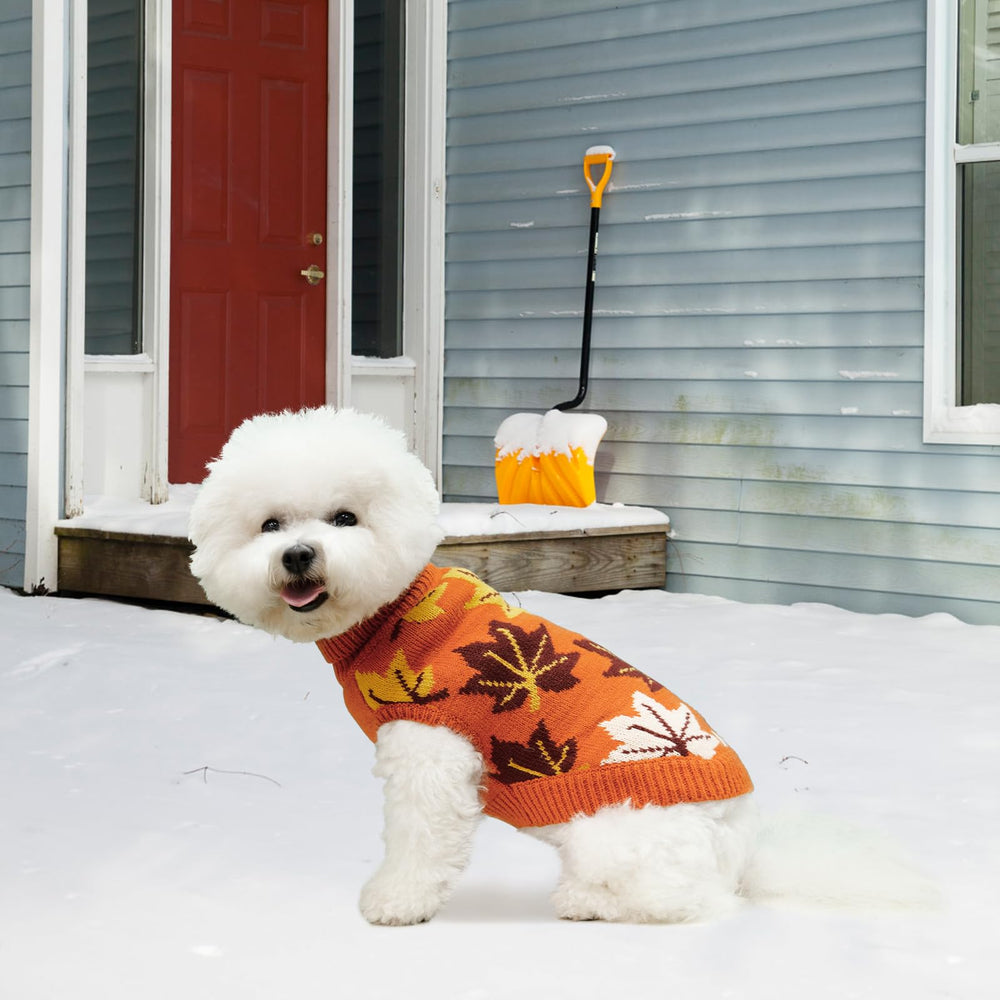 KOOLTAIL dog sweater size chart showing neck, chest and back measurements.