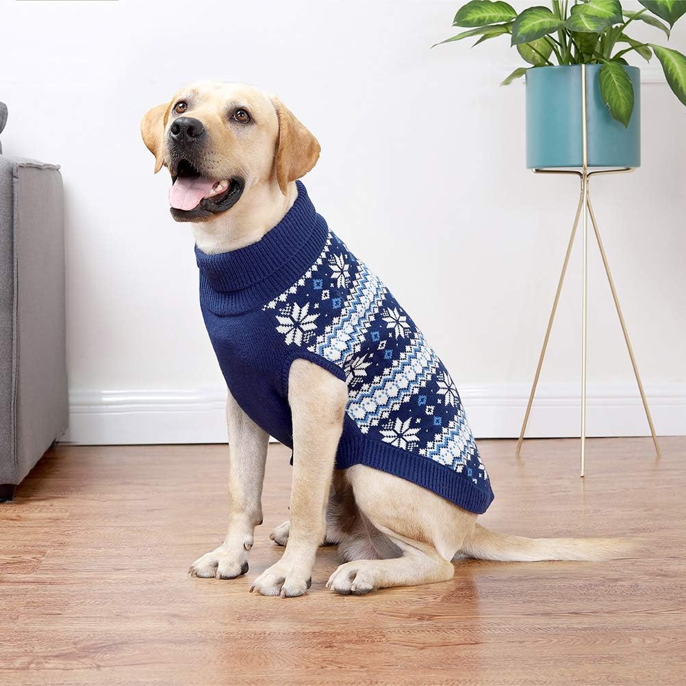 KOOLTAIL dog sweater shown being worn by a dog.
