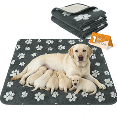 KOOLTAIL dog whelping pad shown laid flat to show its square shape.