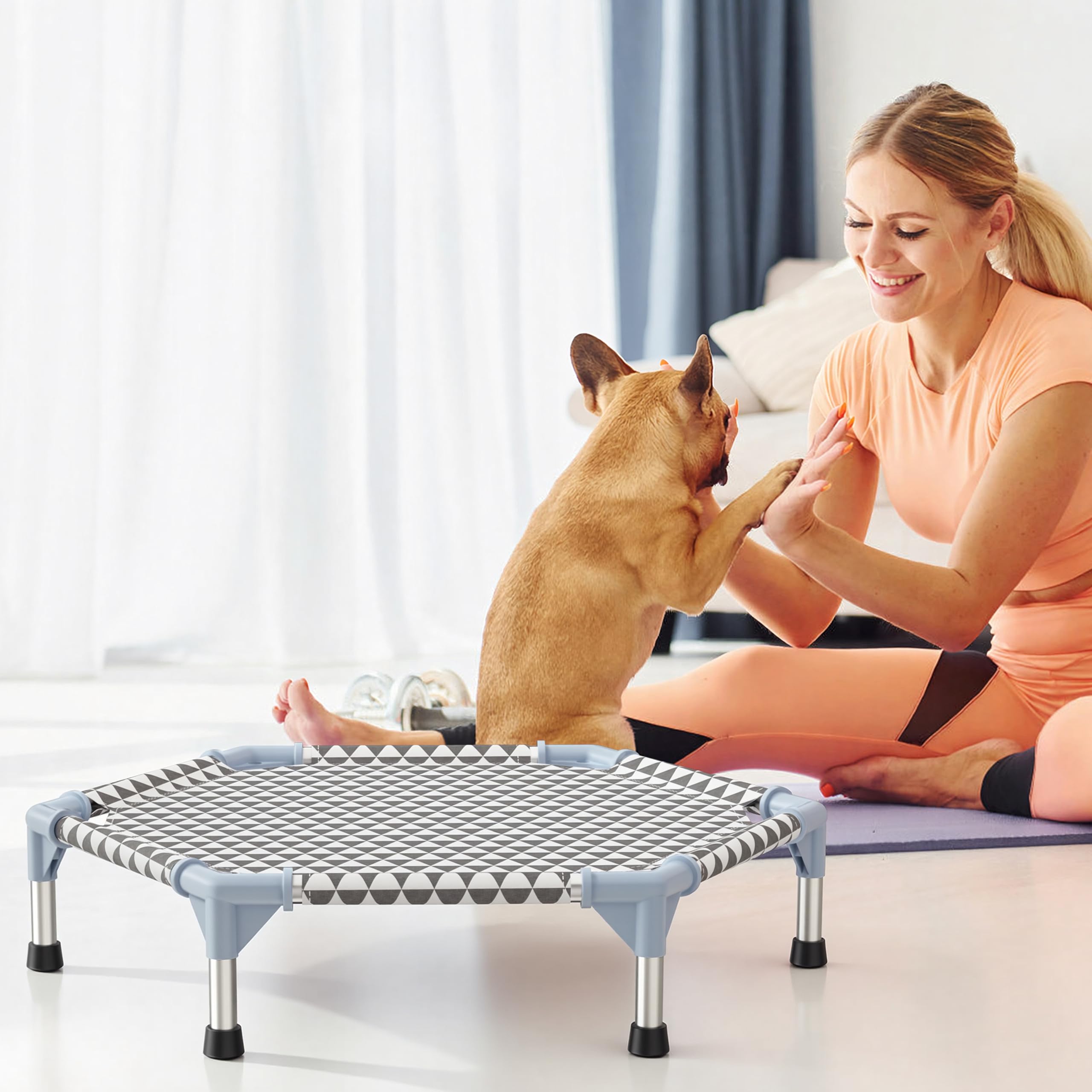 Kuntrust Elevated Outdoor Dog Bed shown in use by a resting dog.