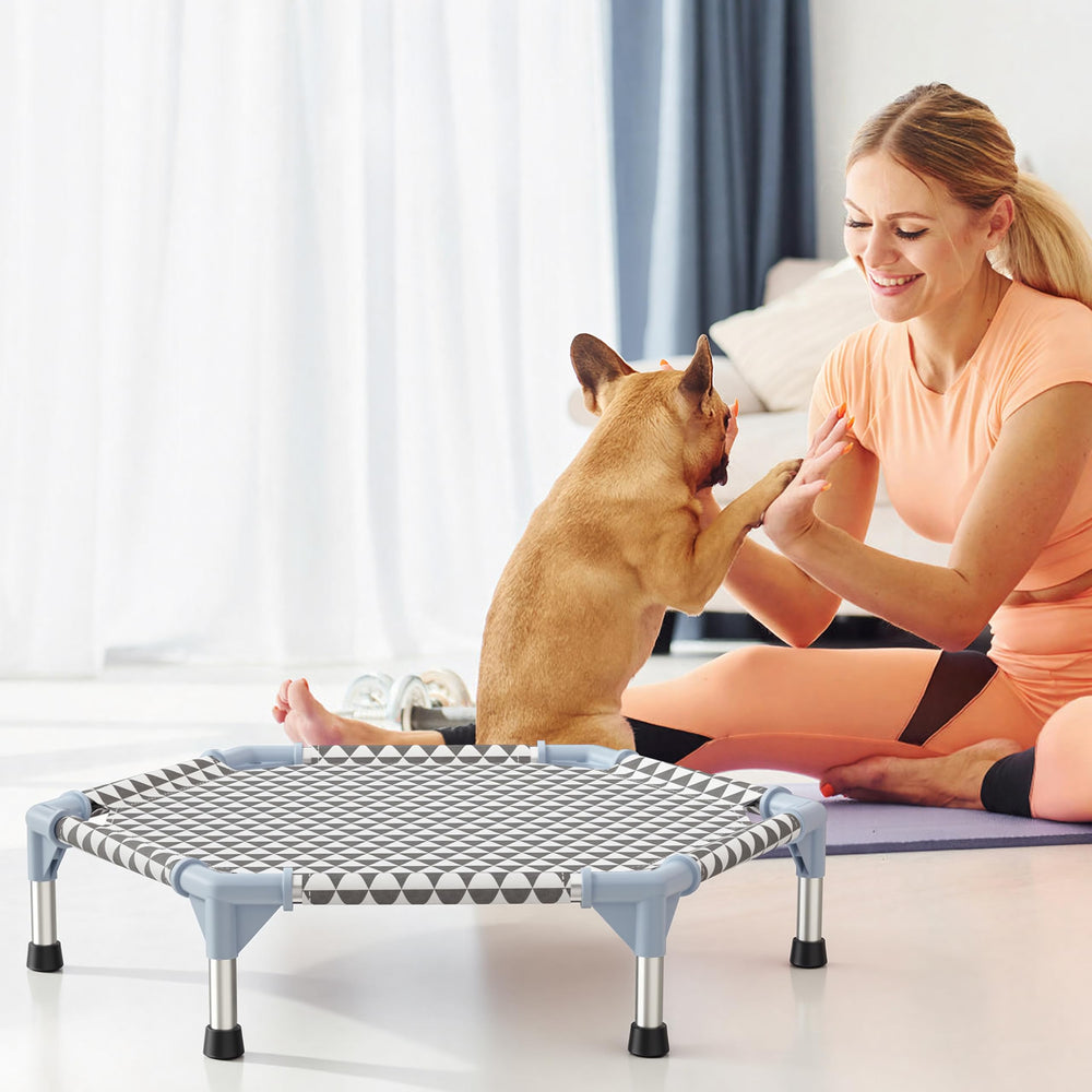 Kuntrust Elevated Outdoor Dog Bed shown in use by a resting dog.