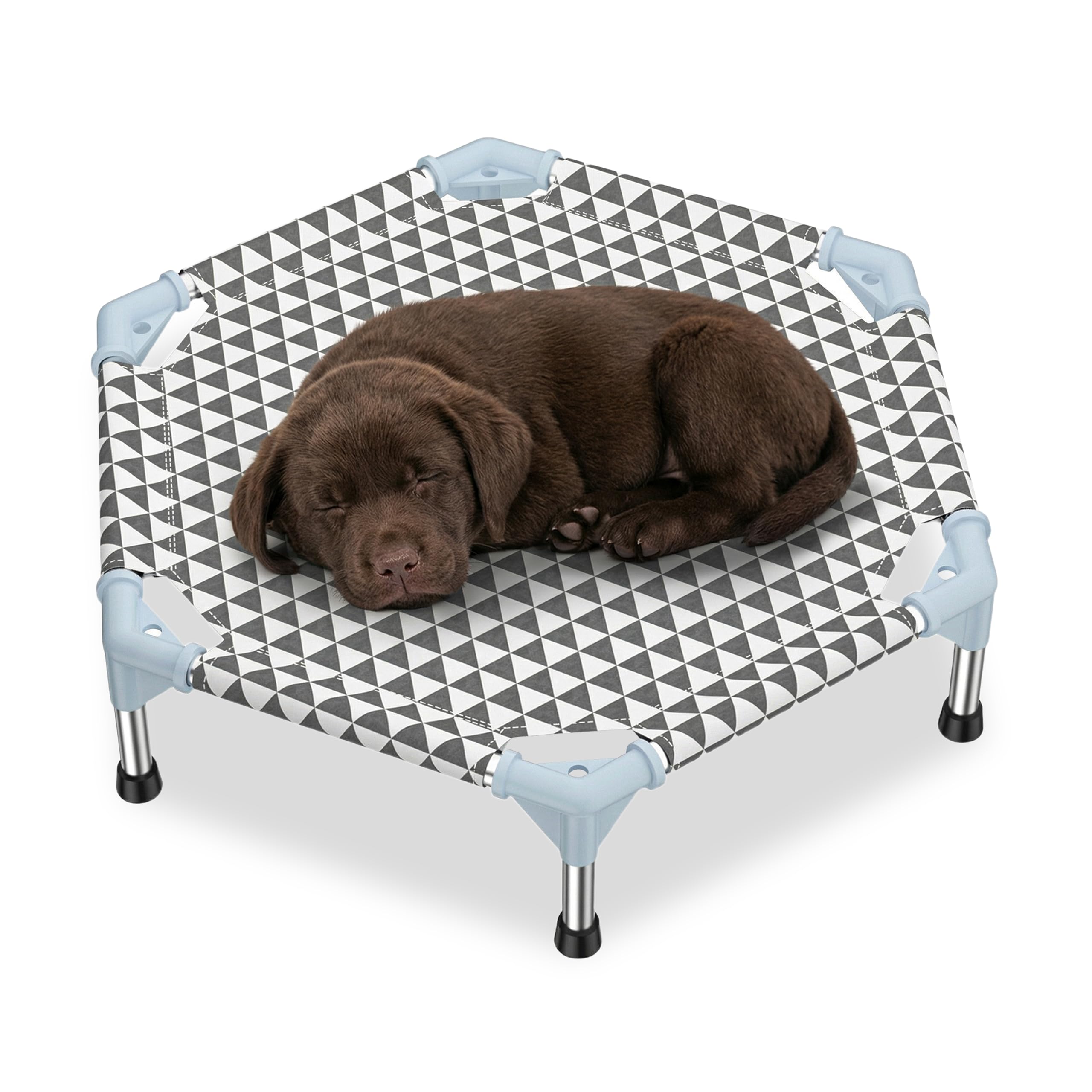 Kuntrust Elevated Outdoor Dog Bed shown from the front.