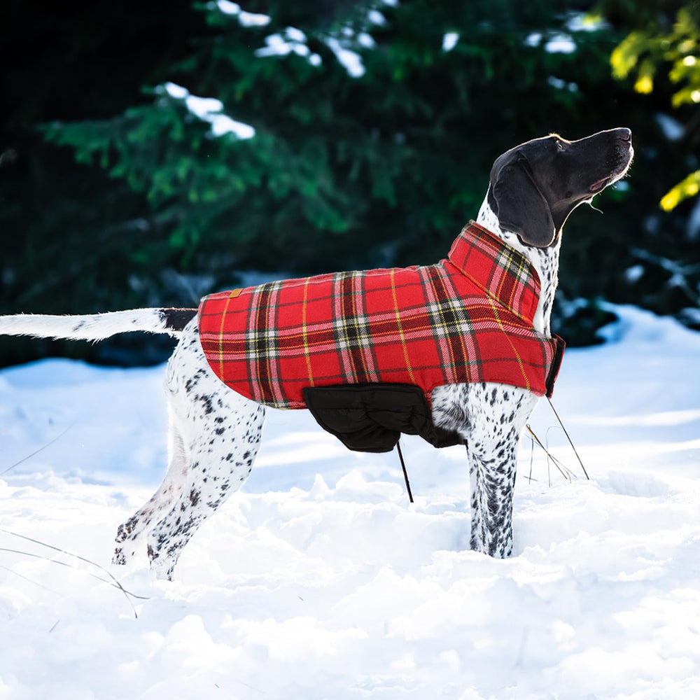 Kuoser dog coat shown with its vintage British-style plaid pattern.