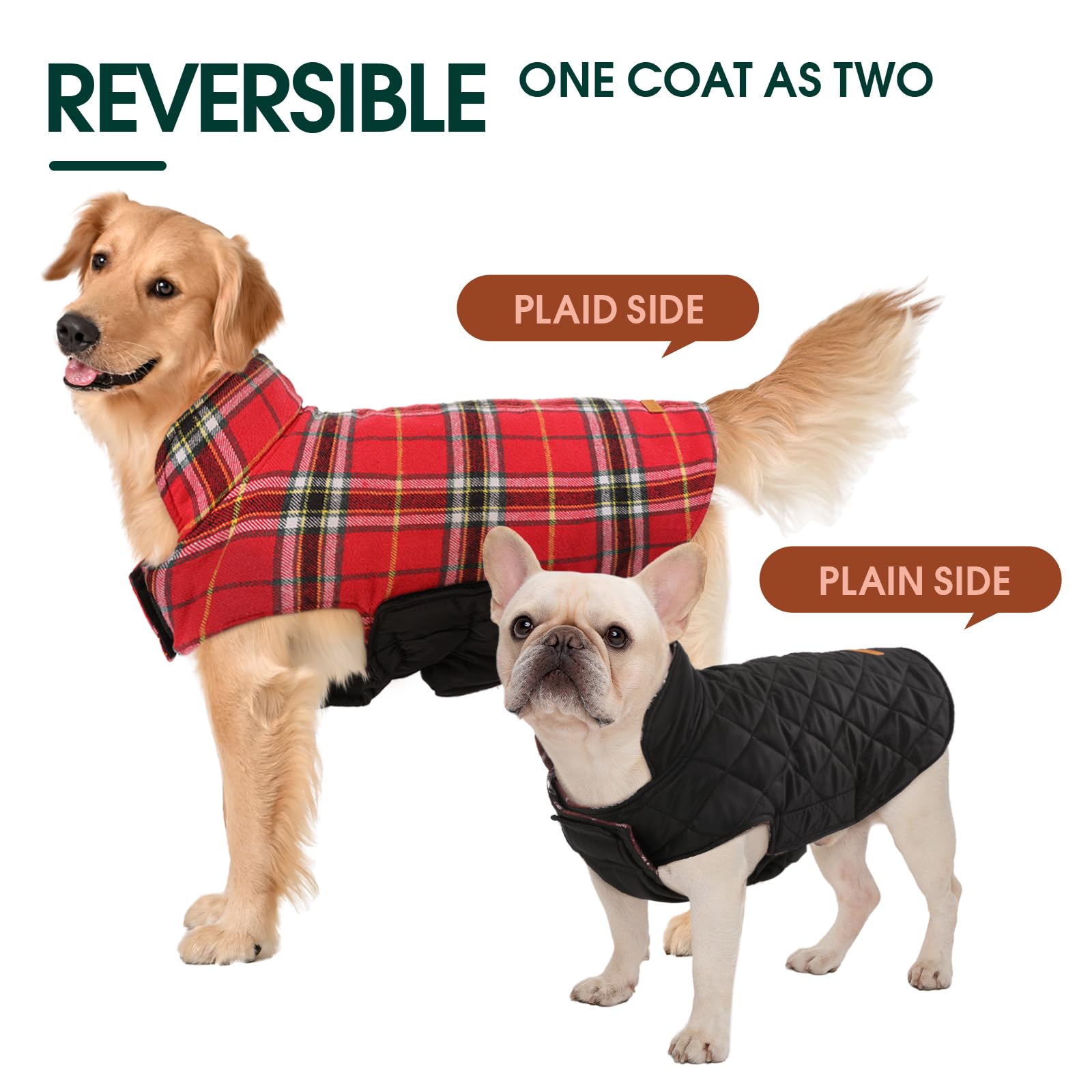 Kuoser dog coat shown being worn by a dog for a cold-weather outing.