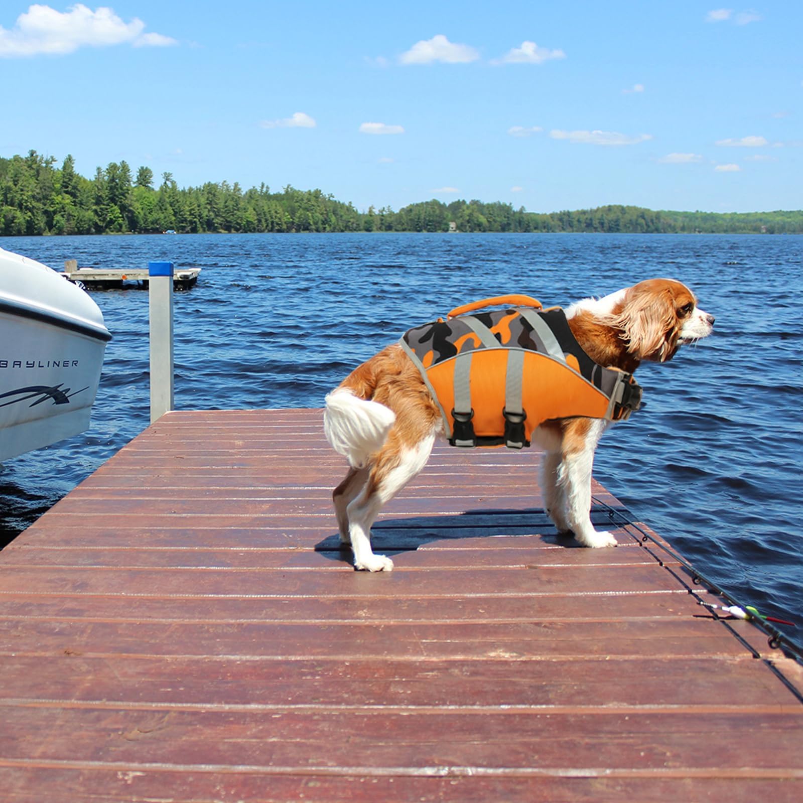 Kuoser Dog Life Jacket shown in use during a swimming activity.