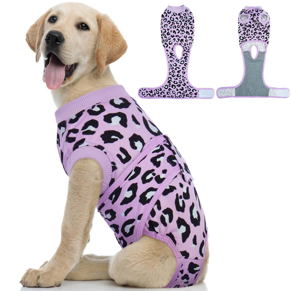 Kuoser dog recovery suit shown from the front.