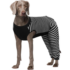 Kuoser Dog Recovery Suit shown from the front in black.