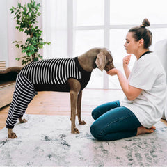 Kuoser Dog Recovery Suit shown as a full garment.