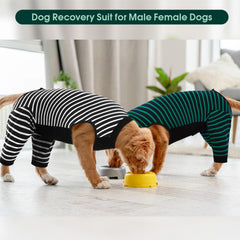 Kuoser Dog Recovery Suit shown to highlight its long-sleeve design.