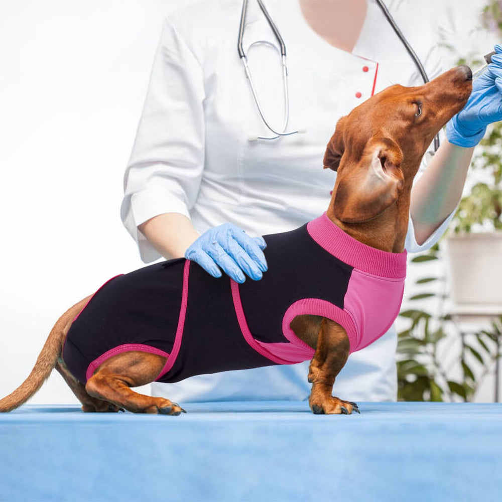 Kuoser dog recovery suit size range shown from XS to 2XL.