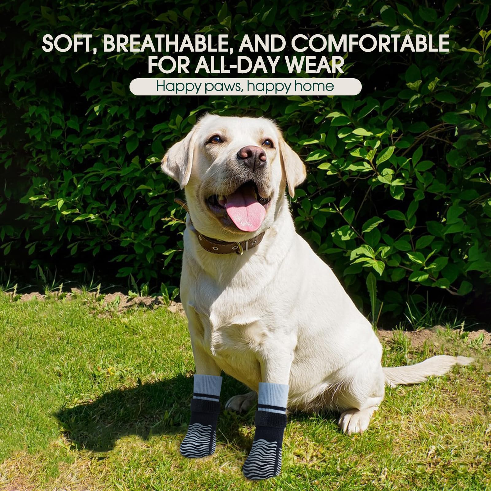 Kuoser dog socks worn on a dog's paw to show their fit.