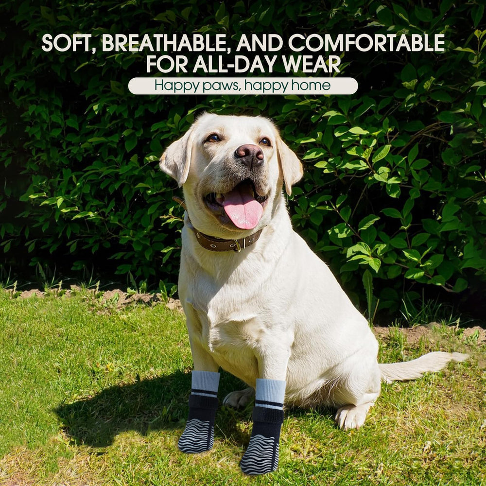 Kuoser dog socks worn on a dog's paw to show their fit.