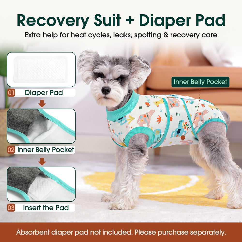 Kuoser recovery suit shown on a dog walking.