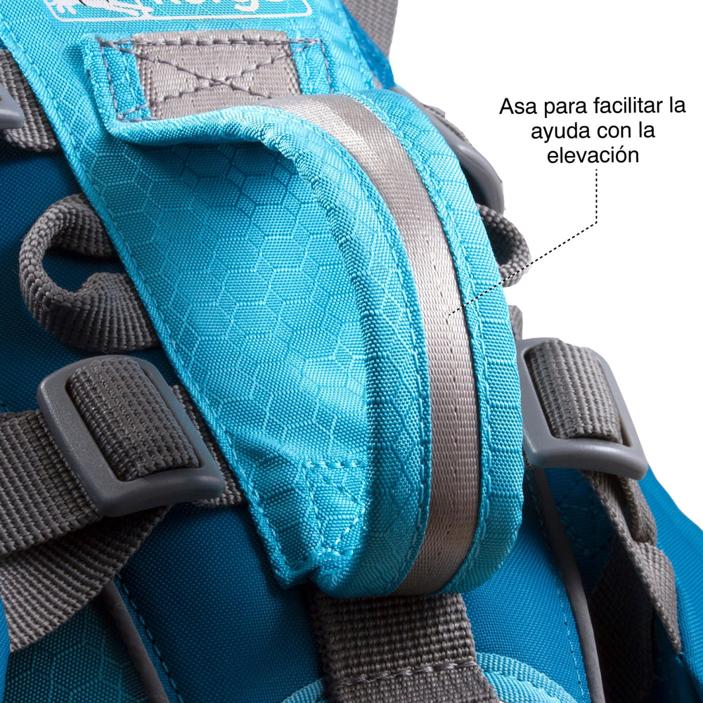 Kurgo Baxter Dog Backpack Harness detail showing the rear leash ring.