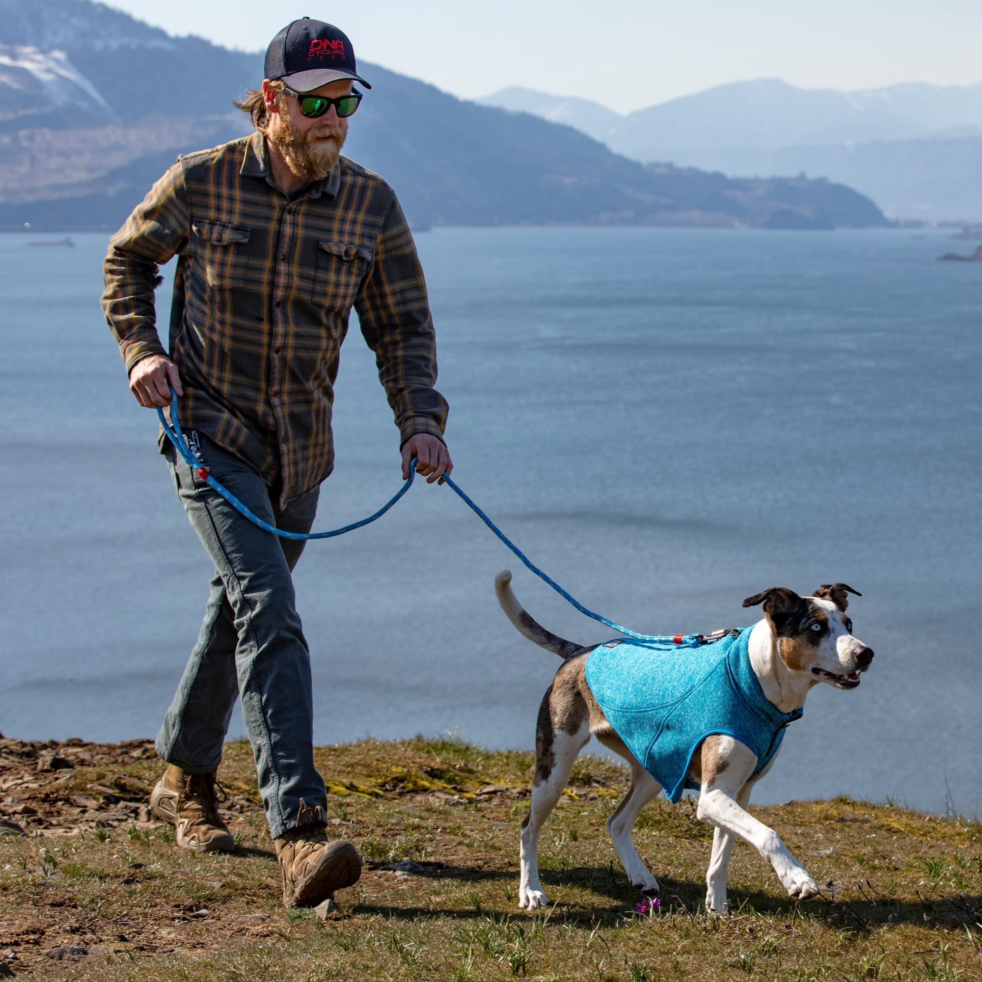 Kurgo Core Sweater shown worn by a dog on an outing.
