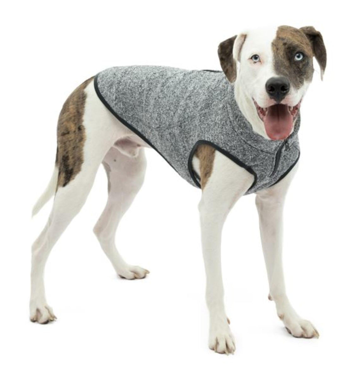 Kurgo Core Sweater shown from the front in Heather Black.