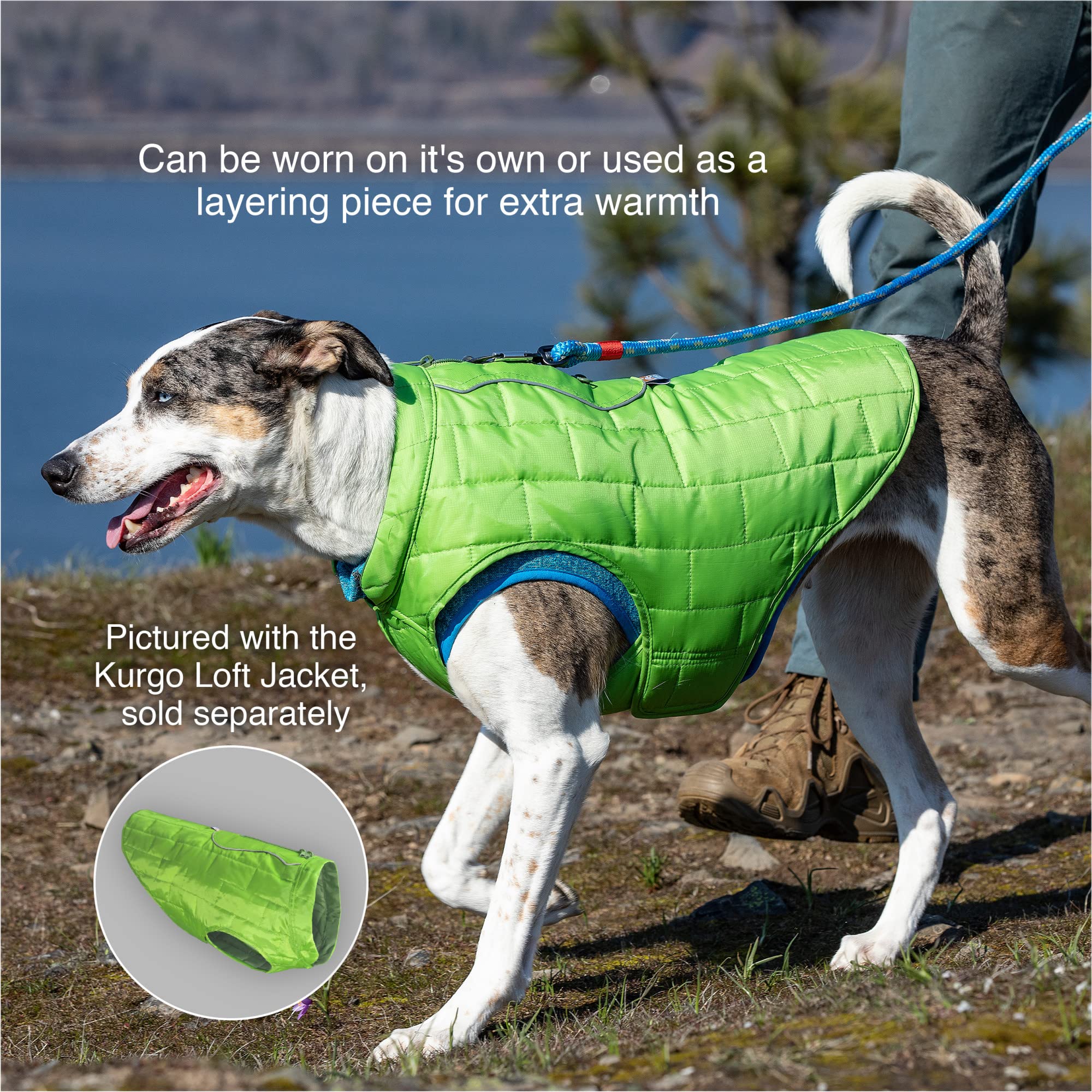 Kurgo Core Sweater detail showing the neck zipper and chest closures.