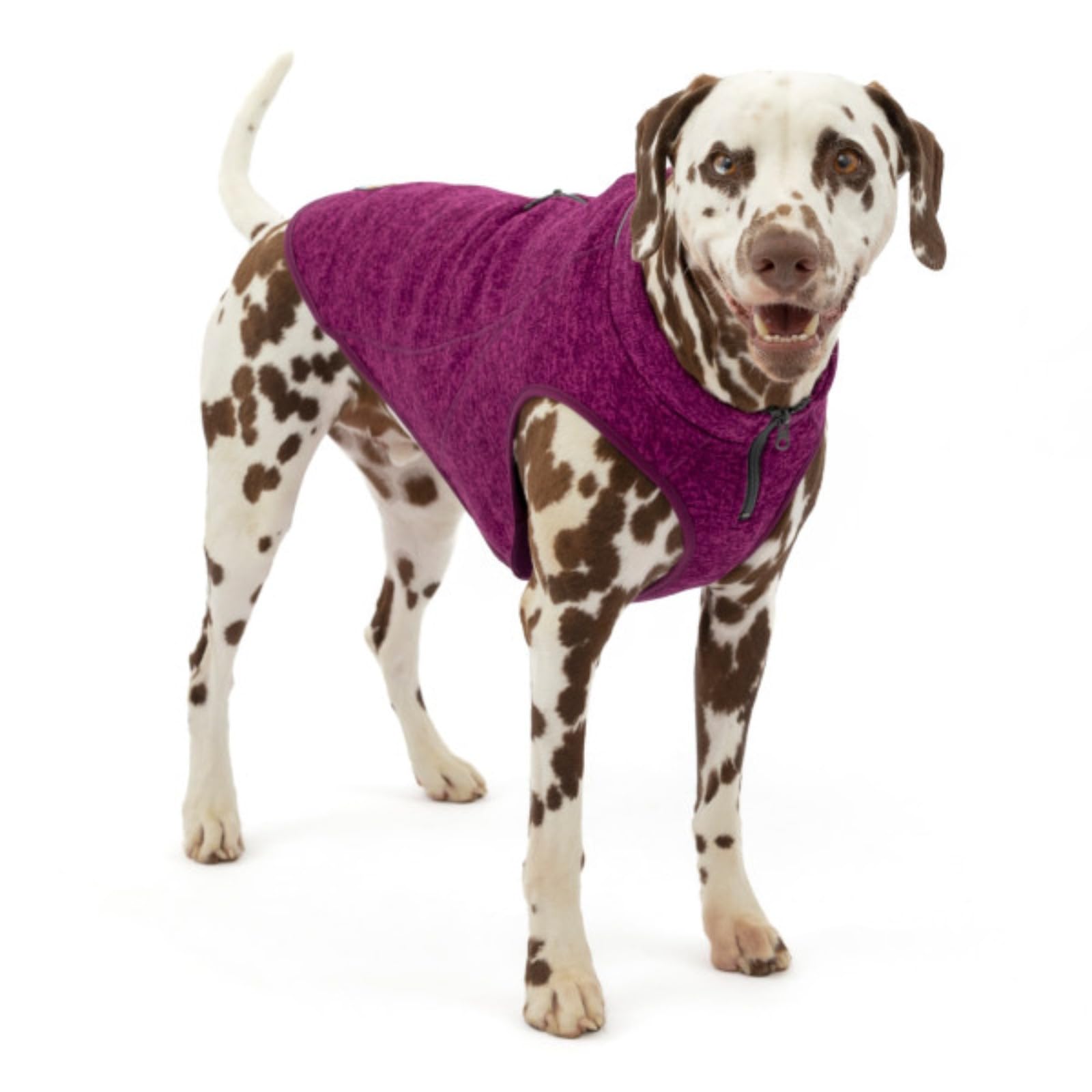 Kurgo Core Sweater showing the zippered neck and hook-and-loop chest closure.