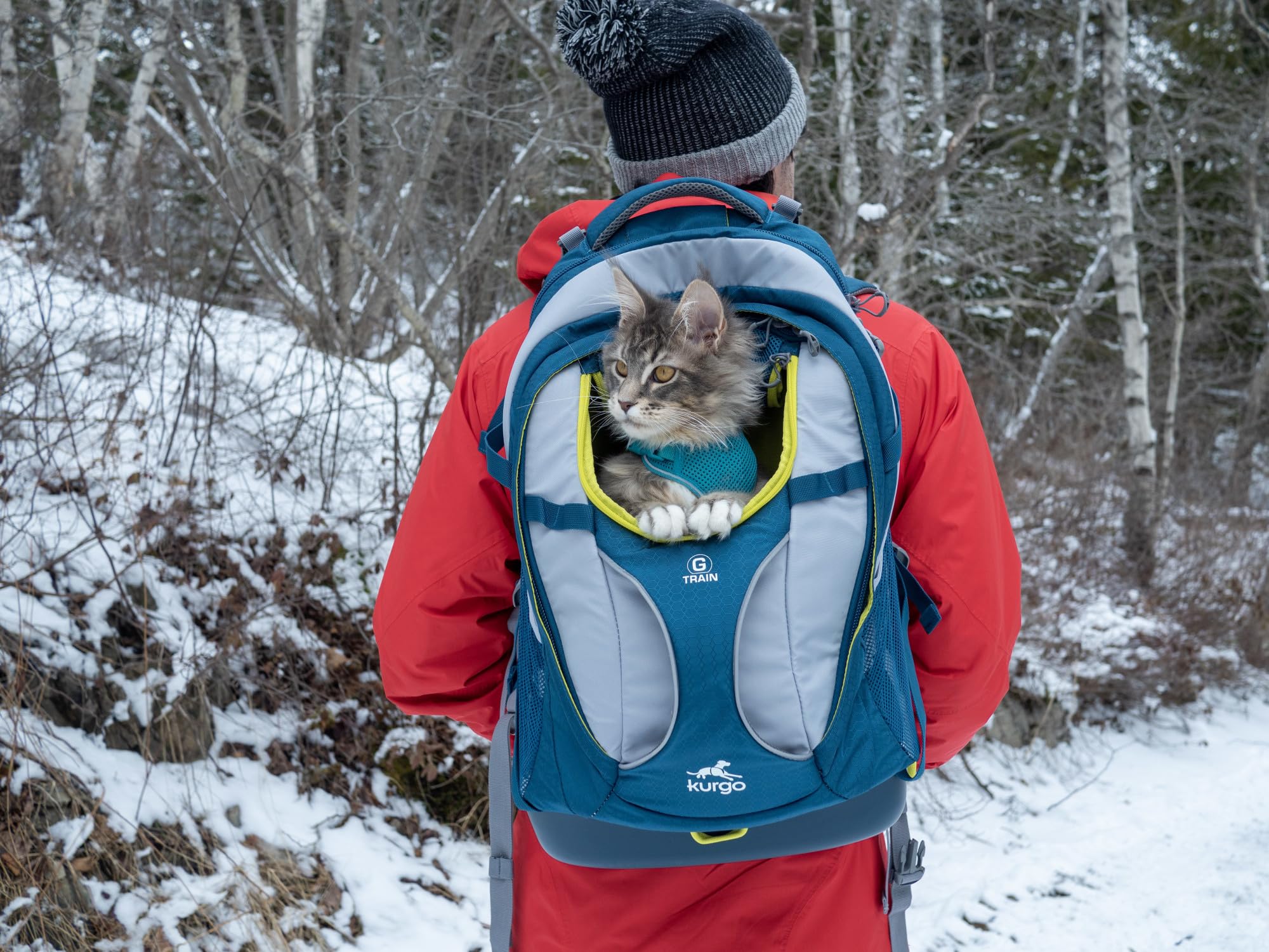 Kurgo G-Train pet carrier backpack with its zip-open mesh top visible.