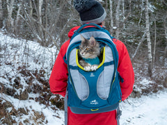 Kurgo G-Train pet carrier backpack with its zip-open mesh top visible.