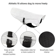 A dog wears the Kurgo Halifax Rain Shell outdoors in wet weather.