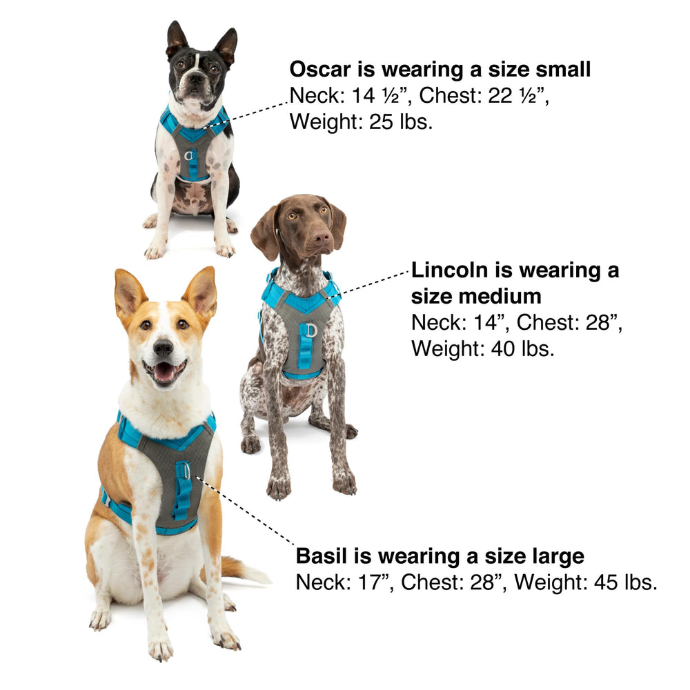 Kurgo Journey Air dog harness showing its back handle.