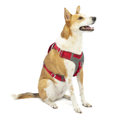 Kurgo Journey Air Dog Harness shown from the front in red.