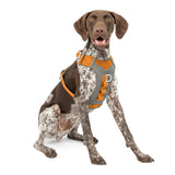 Kurgo Journey Air dog harness shown from the front in orange.