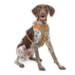 Kurgo Journey Air dog harness shown from the front in orange.