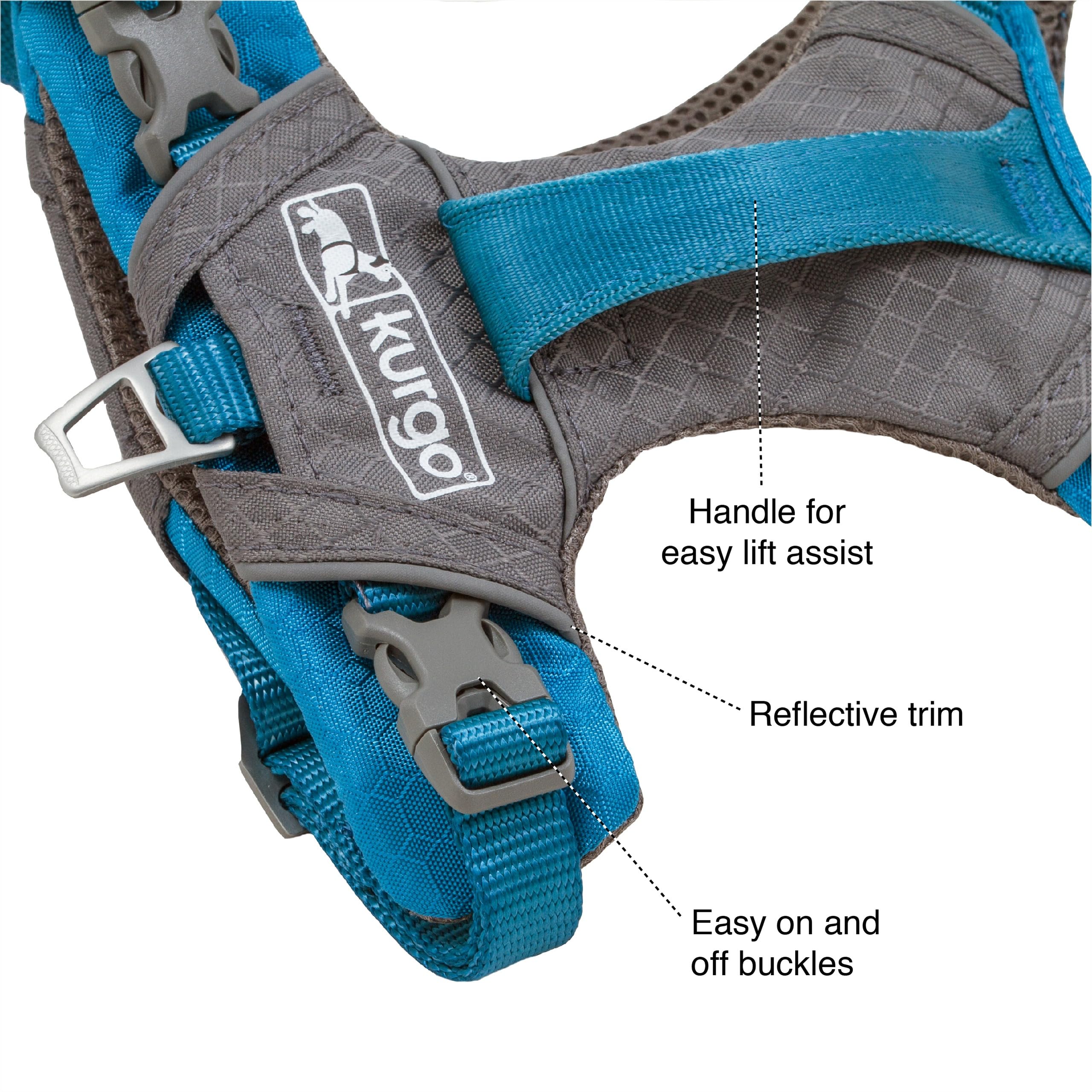 Kurgo Journey Air Dog Harness worn by a dog during an outdoor walk.